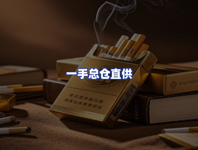 专业团队